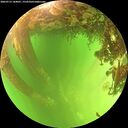 ./images/calvert/underwater/20260713/underwater20260713_144001M.jpg