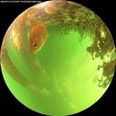 ./images/calvert/underwater/20260713/underwater20260713_145501M.jpg
