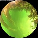 ./images/calvert/underwater/20260713/underwater20260713_152501M.jpg