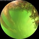 ./images/calvert/underwater/20260713/underwater20260713_153001M.jpg