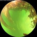 ./images/calvert/underwater/20260713/underwater20260713_154001M.jpg
