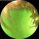 ./images/calvert/underwater/20260713/underwater20260713_155001M.jpg