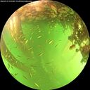 ./images/calvert/underwater/20260713/underwater20260713_155501M.jpg