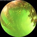./images/calvert/underwater/20260713/underwater20260713_160001M.jpg
