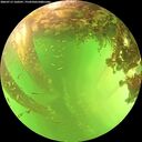 ./images/calvert/underwater/20260713/underwater20260713_160501M.jpg