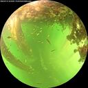 ./images/calvert/underwater/20260713/underwater20260713_161002M.jpg