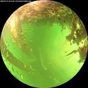 ./images/calvert/underwater/20260713/underwater20260713_161502M.jpg