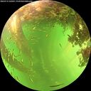 ./images/calvert/underwater/20260713/underwater20260713_162001M.jpg