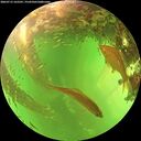 ./images/calvert/underwater/20260713/underwater20260713_162501M.jpg