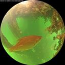 ./images/calvert/underwater/20260713/underwater20260713_182001M.jpg