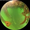 ./images/calvert/underwater/20260713/underwater20260713_184501M.jpg