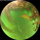 ./images/calvert/underwater/20260713/underwater20260713_190001M.jpg