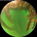 ./images/calvert/underwater/20260713/underwater20260713_194501M.jpg