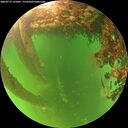 ./images/calvert/underwater/20260713/underwater20260713_195001M.jpg