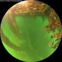 ./images/calvert/underwater/20260713/underwater20260713_200001M.jpg