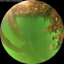 ./images/calvert/underwater/20260713/underwater20260713_200501M.jpg