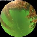 ./images/calvert/underwater/20260713/underwater20260713_201501M.jpg