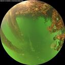 ./images/calvert/underwater/20260713/underwater20260713_202001M.jpg