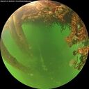 ./images/calvert/underwater/20260713/underwater20260713_202501M.jpg