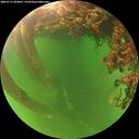 ./images/calvert/underwater/20260713/underwater20260713_203001M.jpg