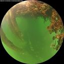 ./images/calvert/underwater/20260713/underwater20260713_203502M.jpg