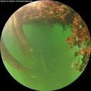 ./images/calvert/underwater/20260713/underwater20260713_204001M.jpg