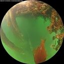 ./images/calvert/underwater/20260713/underwater20260713_204501M.jpg