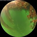 ./images/calvert/underwater/20260713/underwater20260713_205002M.jpg