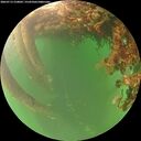 ./images/calvert/underwater/20260713/underwater20260713_210002M.jpg