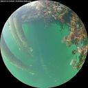 ./images/calvert/underwater/20260713/underwater20260713_210501M.jpg
