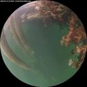 ./images/calvert/underwater/20260713/underwater20260713_215001M.jpg