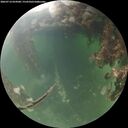 ./images/calvert/underwater/20260714/underwater20260714_054501M.jpg