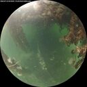 ./images/calvert/underwater/20260714/underwater20260714_055001M.jpg