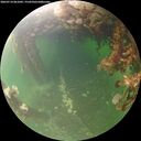 ./images/calvert/underwater/20260714/underwater20260714_061001M.jpg