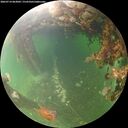 ./images/calvert/underwater/20260714/underwater20260714_063001M.jpg