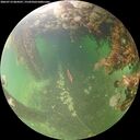 ./images/calvert/underwater/20260714/underwater20260714_064501M.jpg