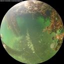 ./images/calvert/underwater/20260714/underwater20260714_065002M.jpg