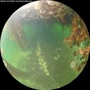 ./images/calvert/underwater/20260714/underwater20260714_070001M.jpg