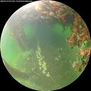 ./images/calvert/underwater/20260714/underwater20260714_071502M.jpg