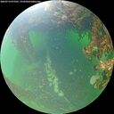 ./images/calvert/underwater/20260714/underwater20260714_073501M.jpg