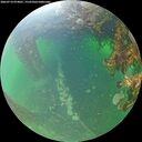 ./images/calvert/underwater/20260714/underwater20260714_074001M.jpg