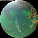 ./images/calvert/underwater/20260714/underwater20260714_074501M.jpg