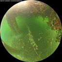 ./images/calvert/underwater/20260714/underwater20260714_082001M.jpg