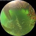./images/calvert/underwater/20260714/underwater20260714_082501M.jpg