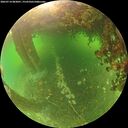 ./images/calvert/underwater/20260714/underwater20260714_083001M.jpg