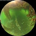 ./images/calvert/underwater/20260714/underwater20260714_083501M.jpg