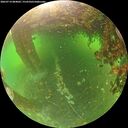 ./images/calvert/underwater/20260714/underwater20260714_084001M.jpg