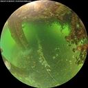./images/calvert/underwater/20260714/underwater20260714_084501M.jpg