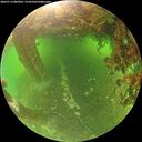 ./images/calvert/underwater/20260714/underwater20260714_085002M.jpg