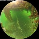./images/calvert/underwater/20260714/underwater20260714_085501M.jpg
